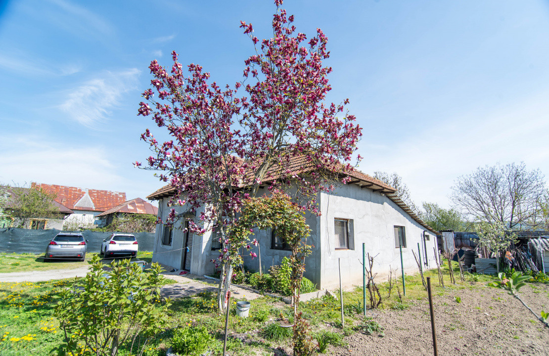 Casa + 948 MP Teren | Merisani