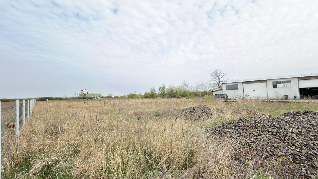 Teren Intravilan 1300 mp / Extravilan 3.700 mp/ DJ 196B Carei (DN 1F) – Foieni 