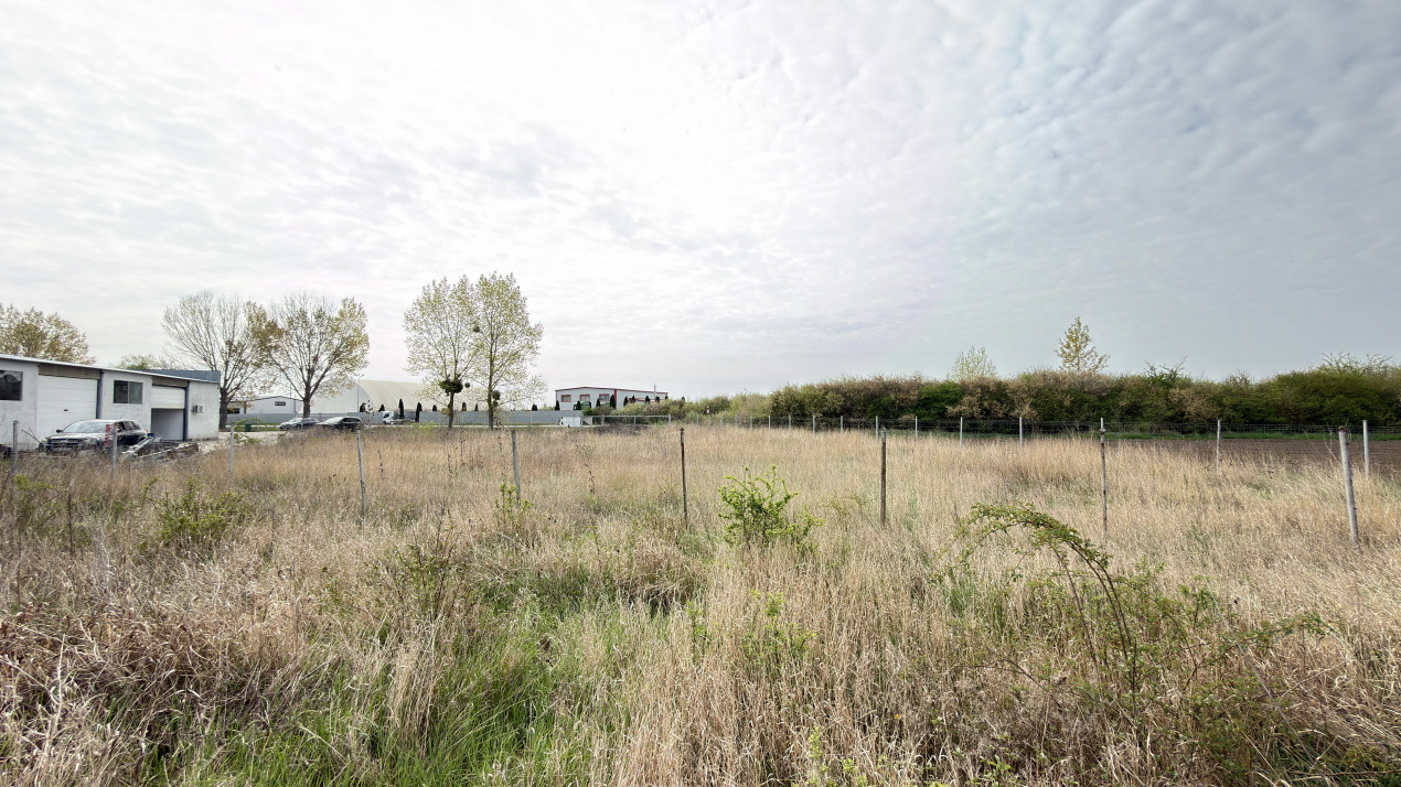 Teren Intravilan 1300 mp / Extravilan 3.700 mp/ DJ 196B Carei (DN 1F) – Foieni 