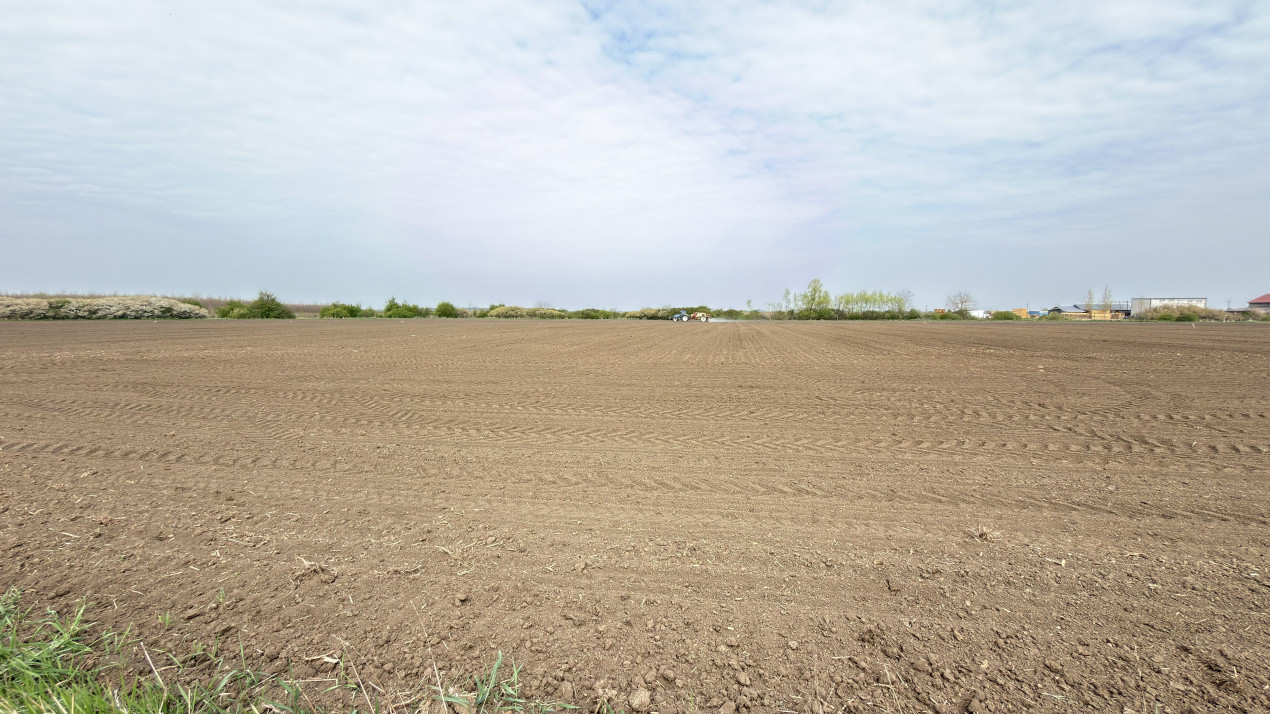 Teren Intravilan 1300 mp / Extravilan 3.700 mp/ DJ 196B Carei (DN 1F) – Foieni 