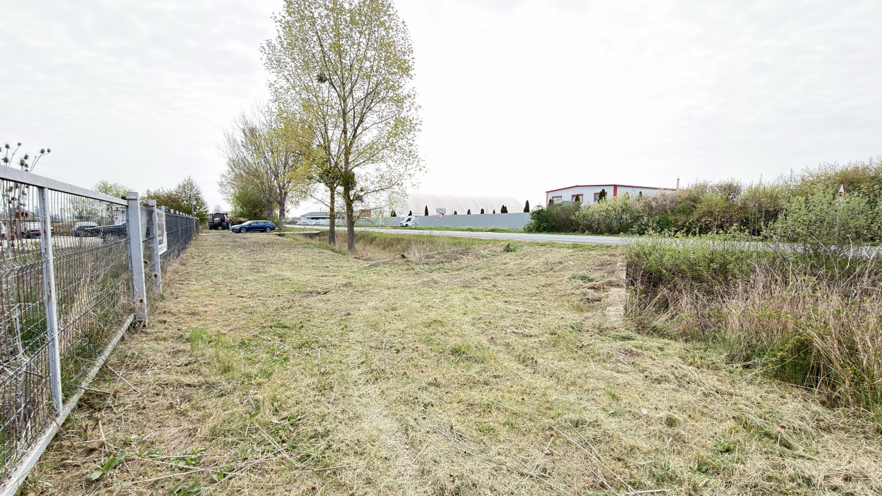 Teren Intravilan 1300 mp / Extravilan 3.700 mp/ DJ 196B Carei (DN 1F) – Foieni 