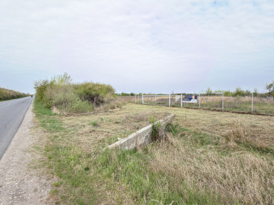 Teren Intravilan 1300 mp / Extravilan 3.700 mp/ DJ 196B Carei (DN 1F) – Foieni 