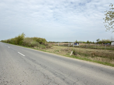 Teren Intravilan 1300 mp / Extravilan 3.700 mp/ DJ 196B Carei (DN 1F) – Foieni 