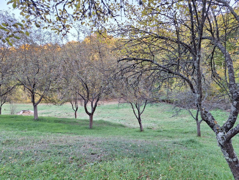 Teren 600mp intravilan - Balotesti