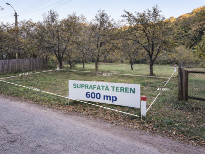 Teren 600mp intravilan - Balotesti