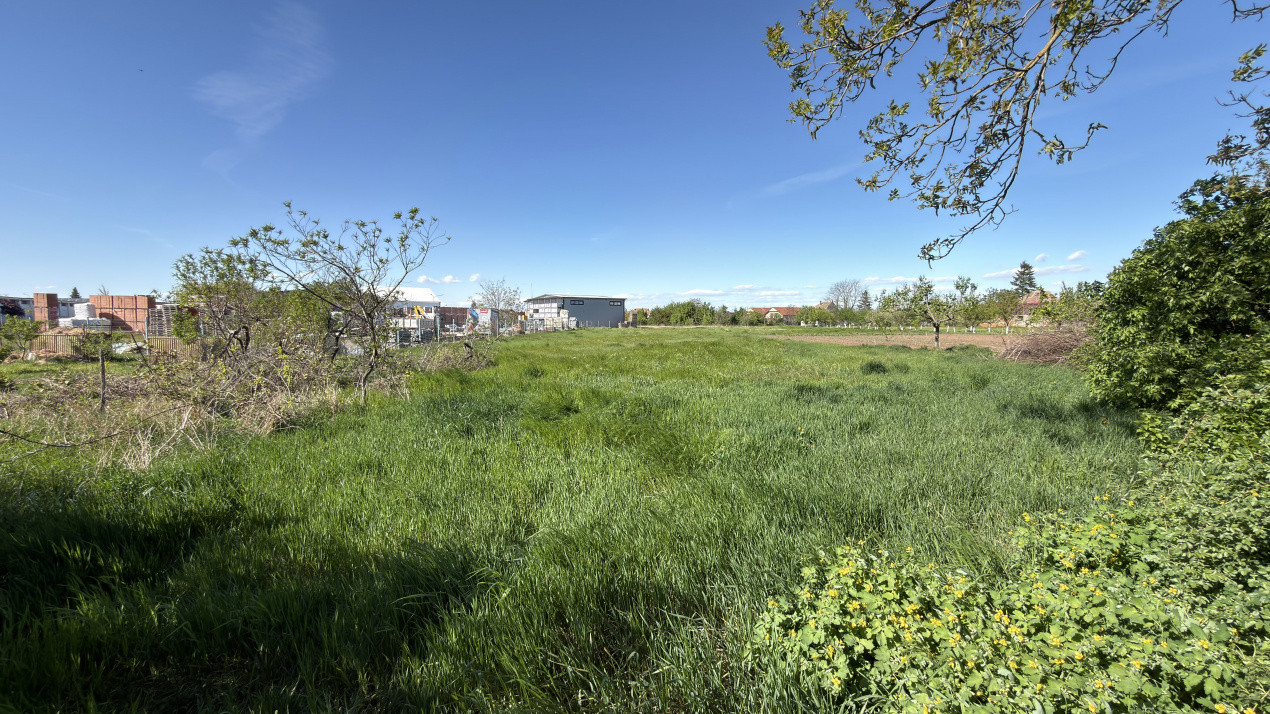 Oportunitate de investiție-Vânzare Teren 3.442 MP cu casă -Albinelor 57-Carei 