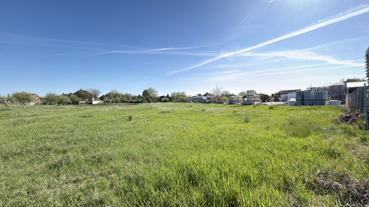 Oportunitate de investiție-Vânzare Teren 3.442 MP cu casă -Albinelor 57-Carei 