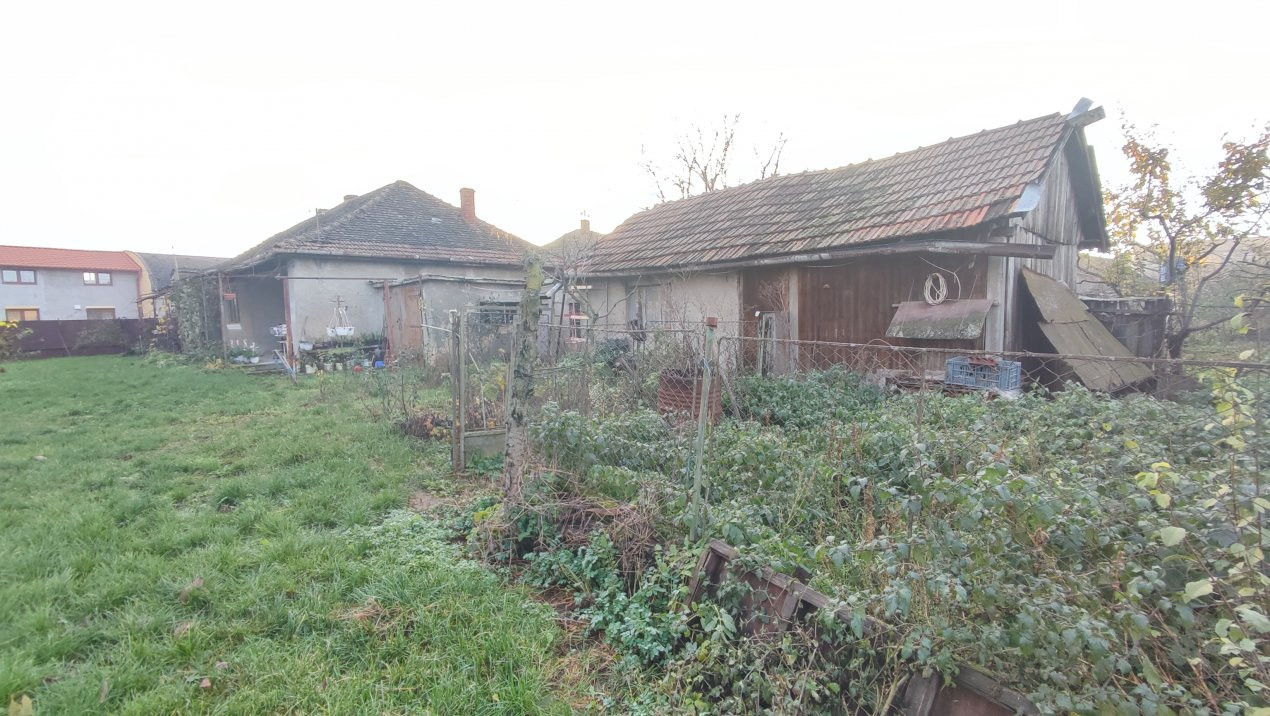 Oportunitate de investiție-Vânzare Teren 3.442 MP cu casă -Albinelor 57-Carei 