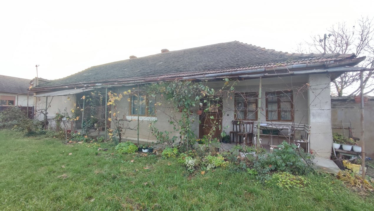 Oportunitate de investiție-Vânzare Teren 3.442 MP cu casă -Albinelor 57-Carei 