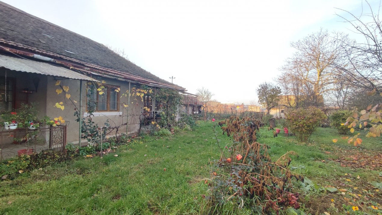 Oportunitate de investiție-Vânzare Teren 3.442 MP cu casă -Albinelor 57-Carei 