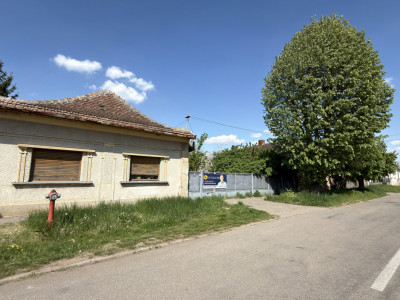 Oportunitate de investiție-Vânzare Teren 3.442 MP cu casă -Albinelor 57-Carei 