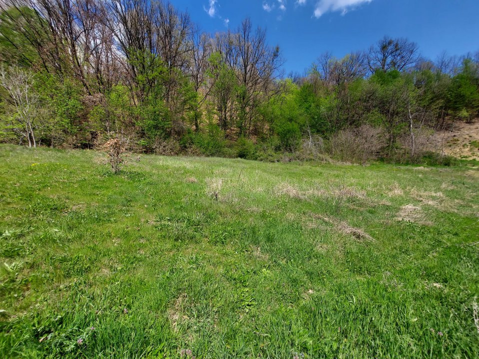 Casa 6 camere langa padure/ 340 mp/ teren de 3 745 mp la 5 min de Pitesti