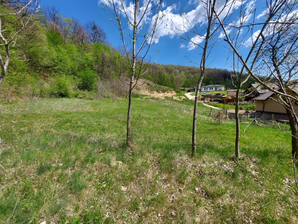 Casa 6 camere langa padure/ 340 mp/ teren de 3 745 mp la 5 min de Pitesti