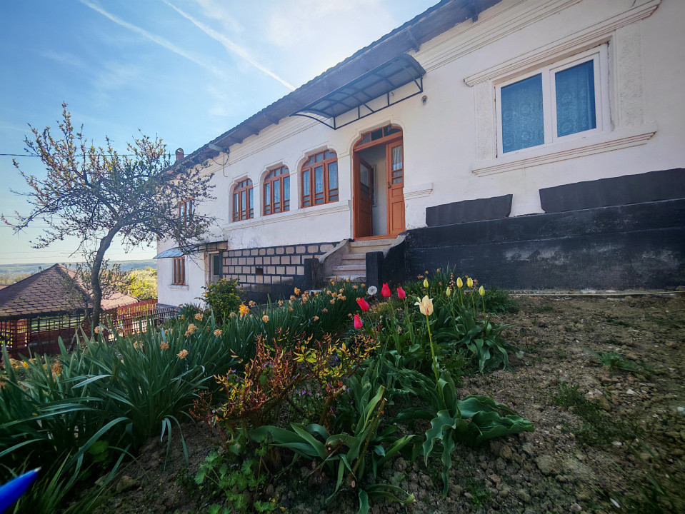 Casa + teren 3233 mp Darmanești Arges