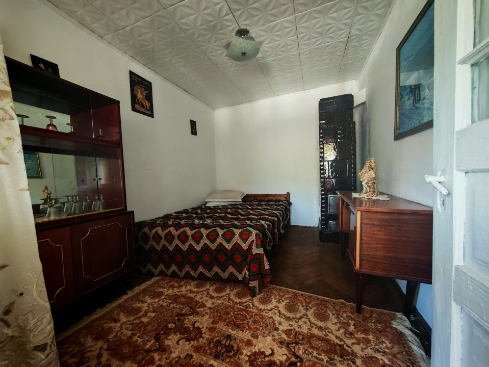 Casa + teren 3233 mp Darmanești Arges