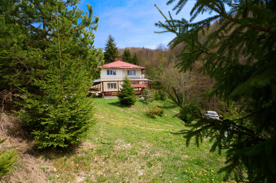 Casa Dambovicioara - CASA de vacanta sau PENSIUNE profitabila