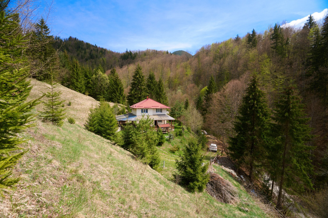 Casa Dambovicioara - CASA de vacanta sau PENSIUNE profitabila