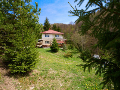 Casa Dambovicioara - CASA de vacanta sau PENSIUNE profitabila