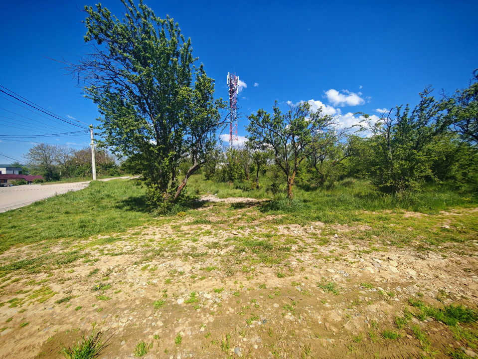 Teren intravilan Mioveni 