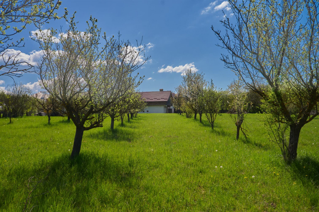 Casa Valea Mare Pravat (Campulung-Arges ) - farmec interbelic - 9915 mp teren