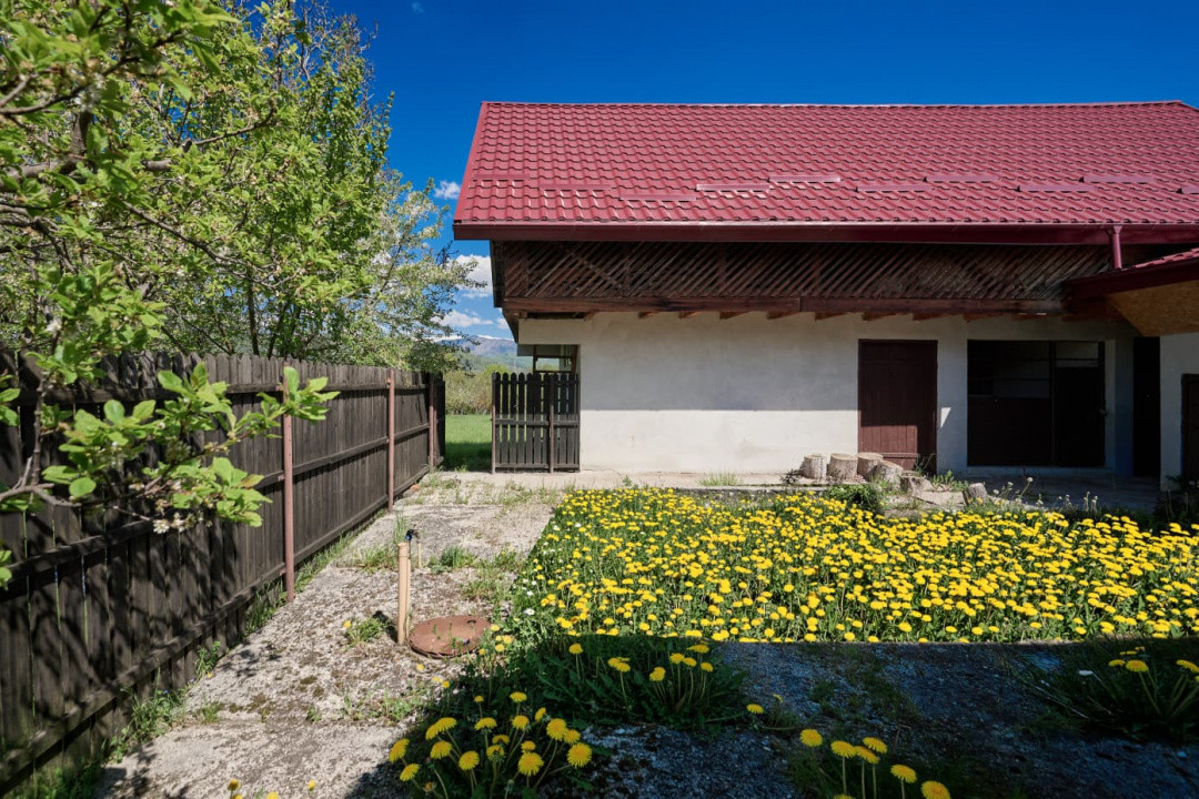 Casa Valea Mare Pravat (Campulung-Arges ) - farmec interbelic - 9915 mp teren