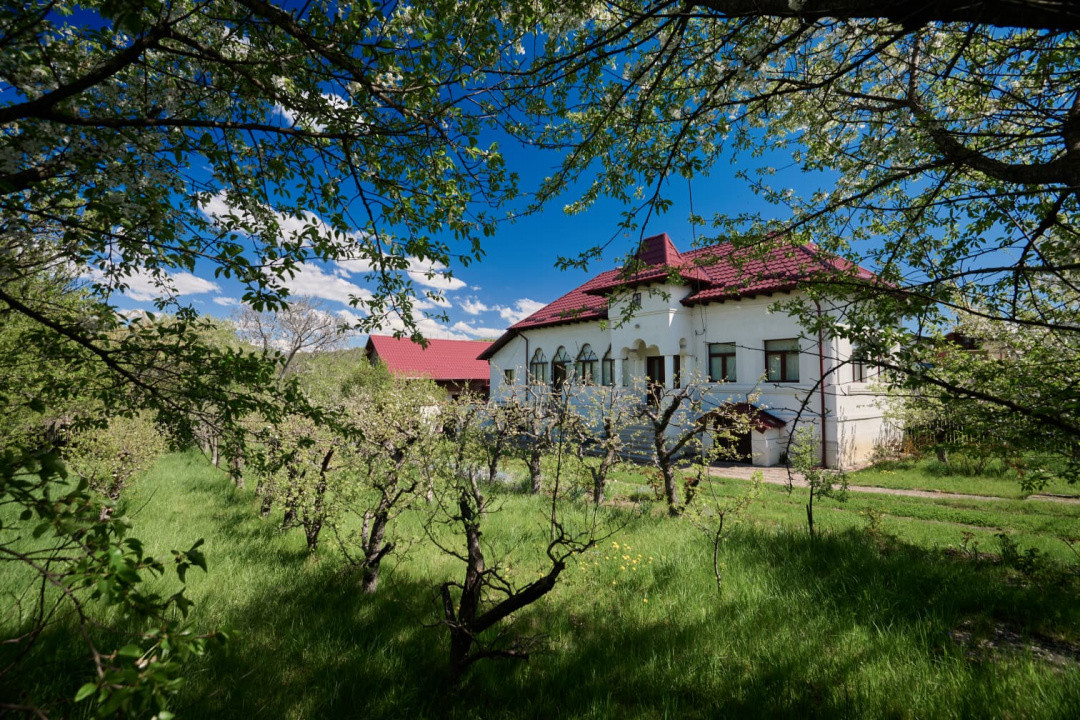Casa Valea Mare Pravat (Campulung-Arges ) - farmec interbelic - 9915 mp teren