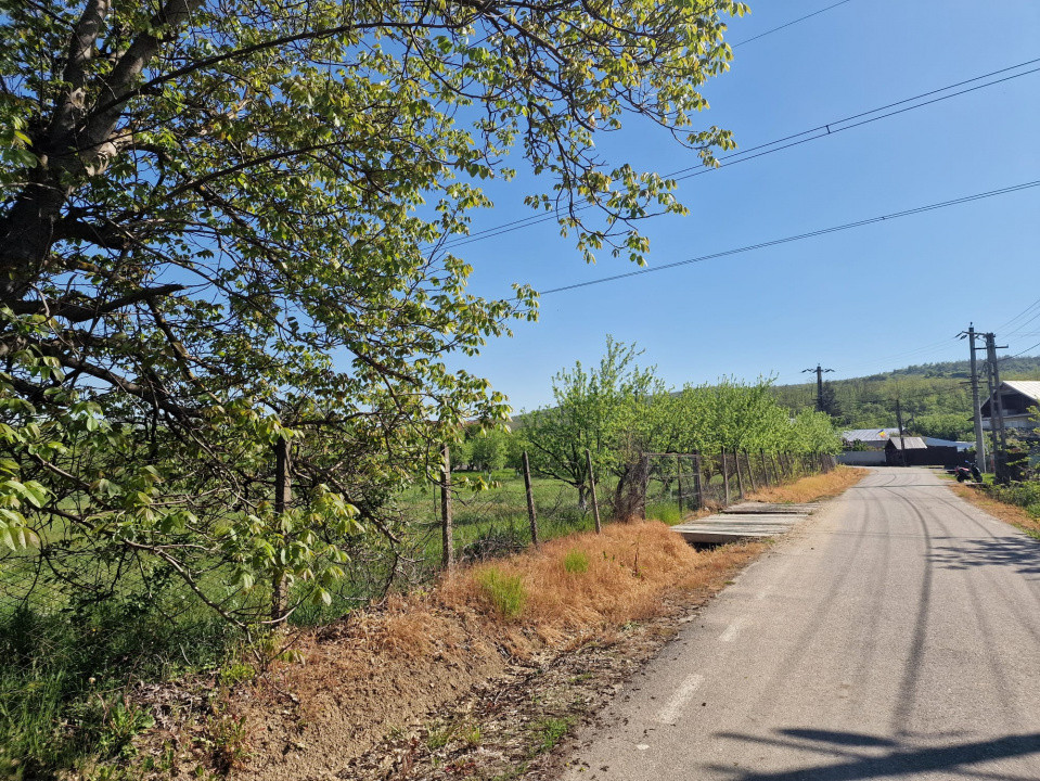 Teren Calinesti, Arges!