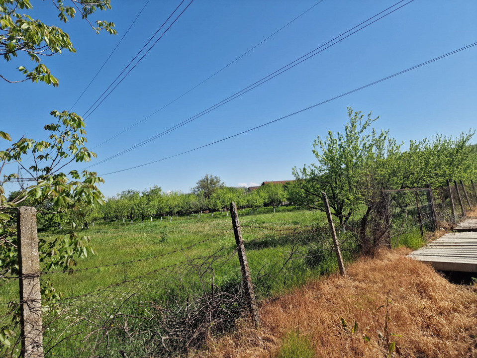 Teren Calinesti, Arges!
