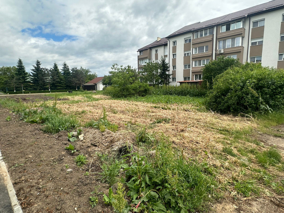 Teren intravilan 705 mp, Snagov, Ghermănești, zonă rezidențială formată