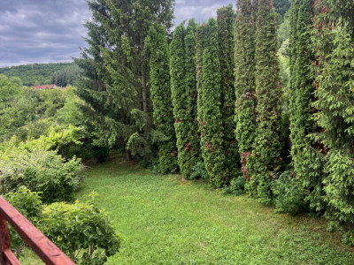Acasă la Bascov- Județ Arges cu peisaj de poveste