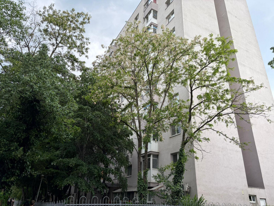  2 camere decomandat | Renovat | Loc de parcare inclus – Codrii Neamtului
