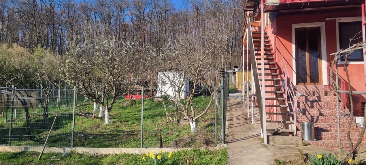 Casă P+M cu 1.558 mp teren, livadă și garaj | Barza, Gorj Comision 0% 