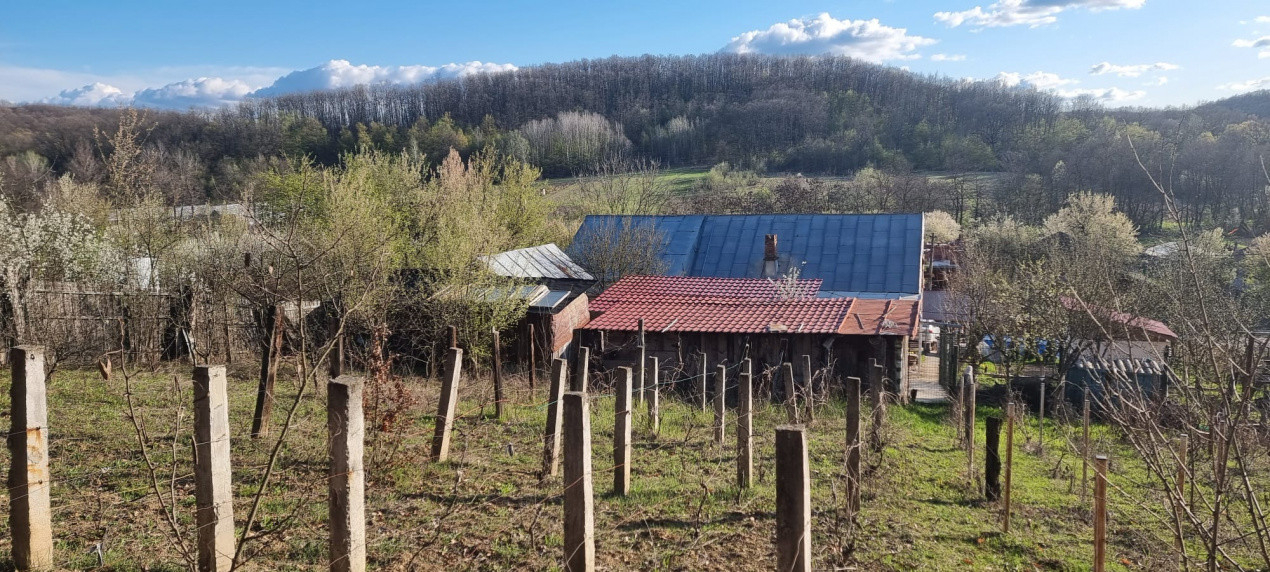 Casă P+M cu 1.558 mp teren, livadă și garaj | Barza, Gorj Comision 0% 