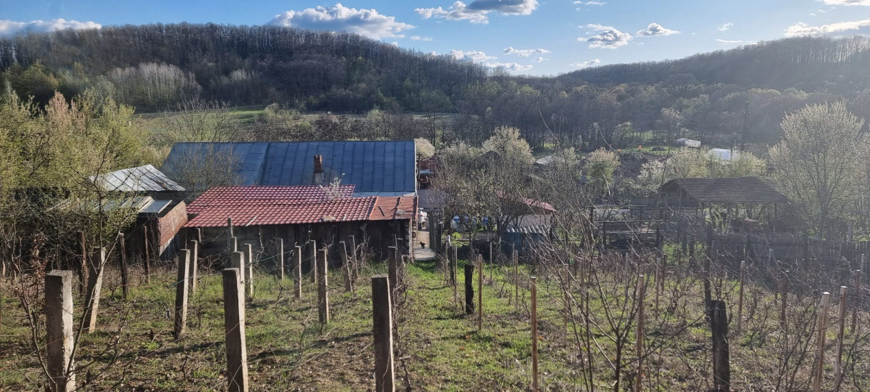 Casă P+M cu 1.558 mp teren, livadă și garaj | Barza, Gorj Comision 0% 