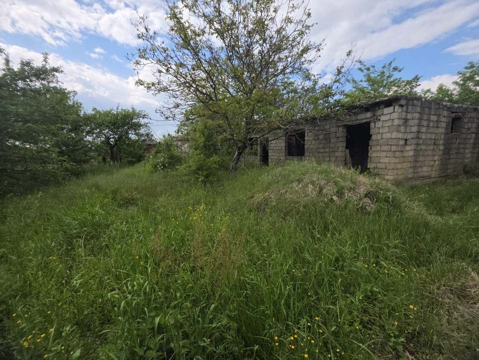 De Vânzare 19 ari Teren Lipău