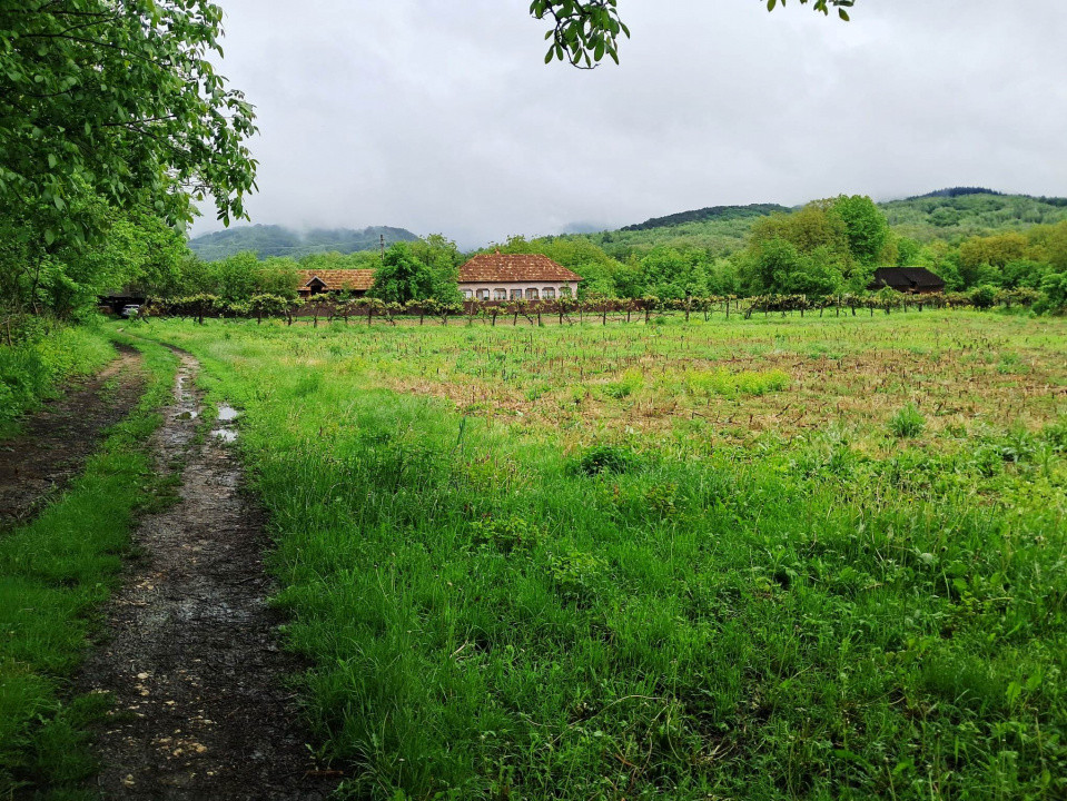 Casă și teren intravilan Polovragi