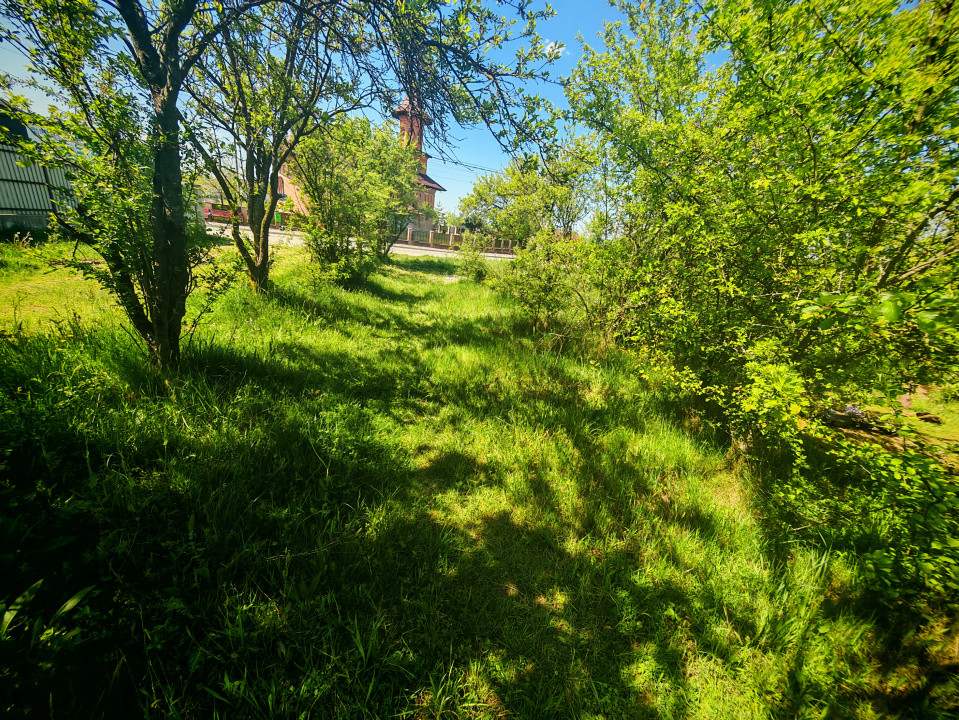 Teren intravilan 2.000 mp in Mioveni – Ideal pentru casa sau investitie!