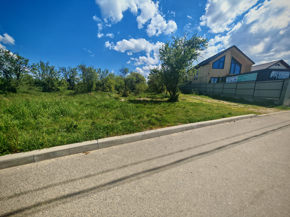 Teren intravilan 2.000 mp in Mioveni – Ideal pentru casa sau investitie!
