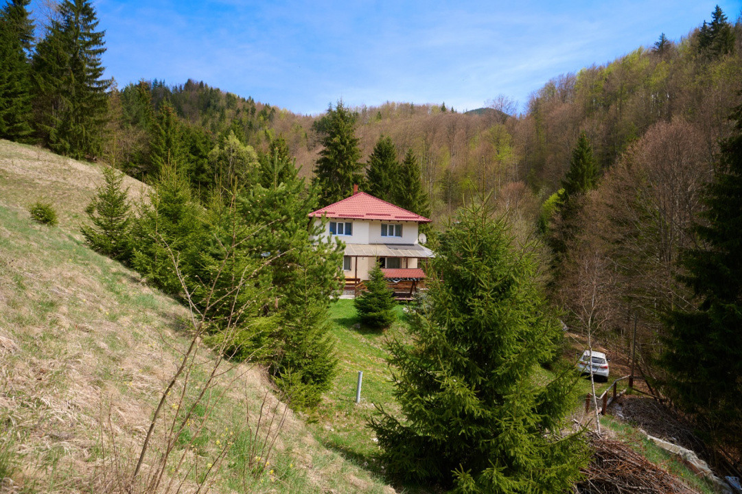 Casa de vacanta sau pensiune in Dâmbovicioara 5 camere, 5 bai, 6412 mp teren