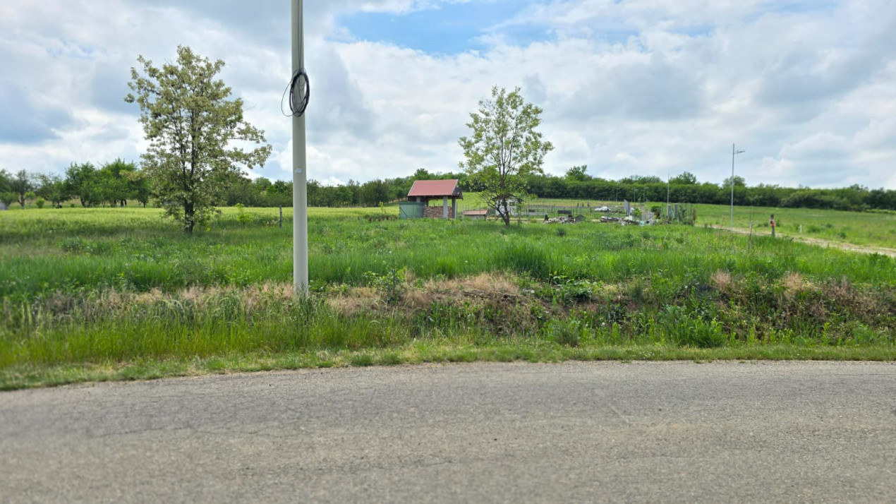 Teren intravilan Ardud Vii Satu Mare