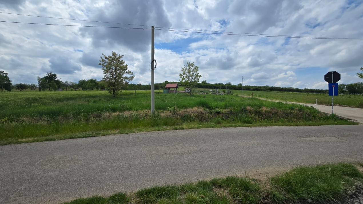 Teren intravilan Ardud Vii Satu Mare