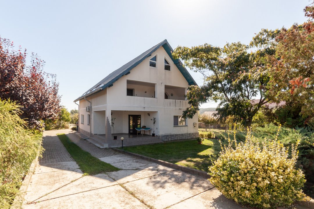 Casa visurilor cu 4000 mp livada roditoare si gradina Darmanesti-Arges