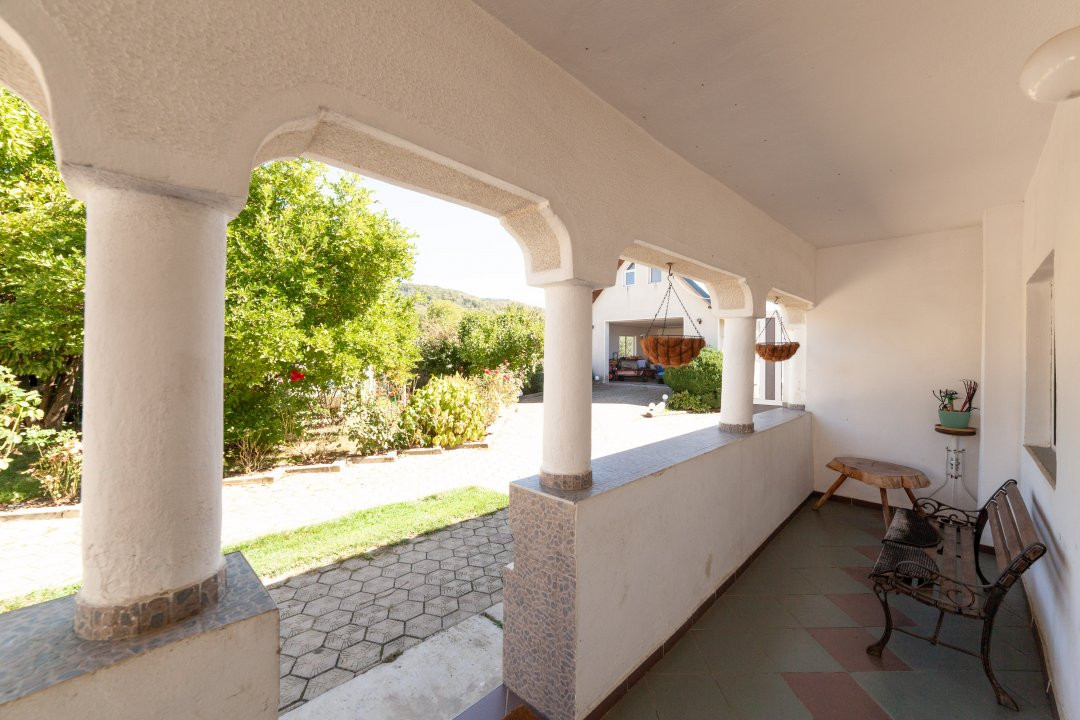 Casa visurilor cu 4000 mp livada roditoare si gradina Darmanesti-Arges