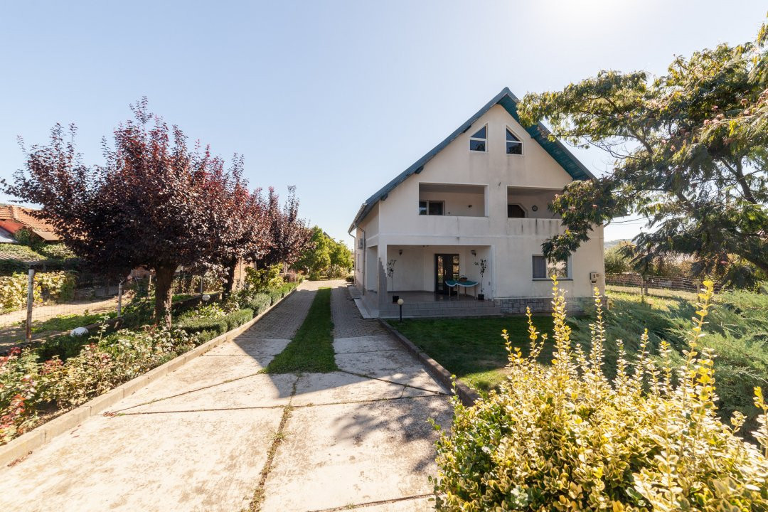 Casa visurilor cu 4000 mp livada roditoare si gradina Darmanesti-Arges