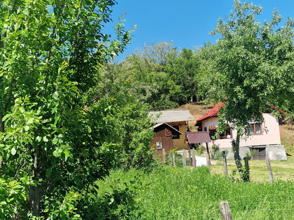  Proprietate în Comuna Botești, Județul Argeș – Zonă Pitorească și Liniștită !