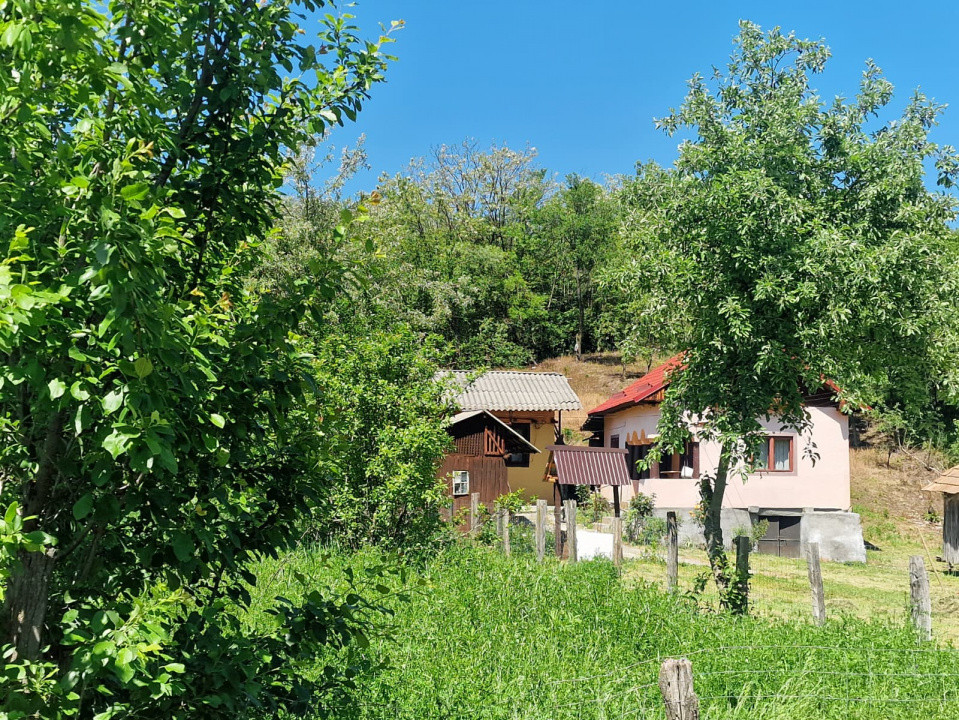  Proprietate în Comuna Botești, Județul Argeș – Zonă Pitorească și Liniștită !