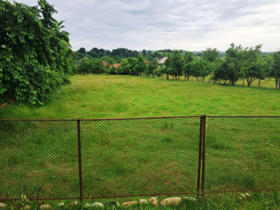 Comision 0% - Apartament 2 camere Banat!