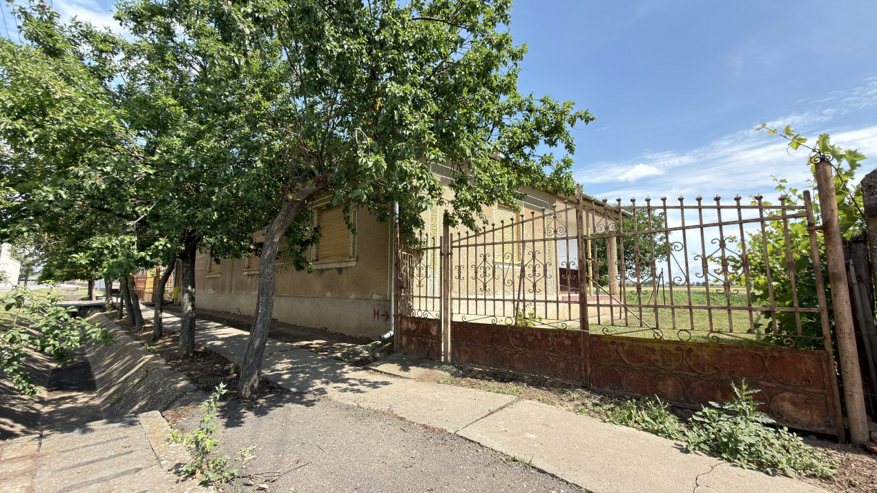 Casă 4 camere, Teren 1955 mp Str. Vezendiului Nr. 366 - Loc. Petrești, Satu Mare