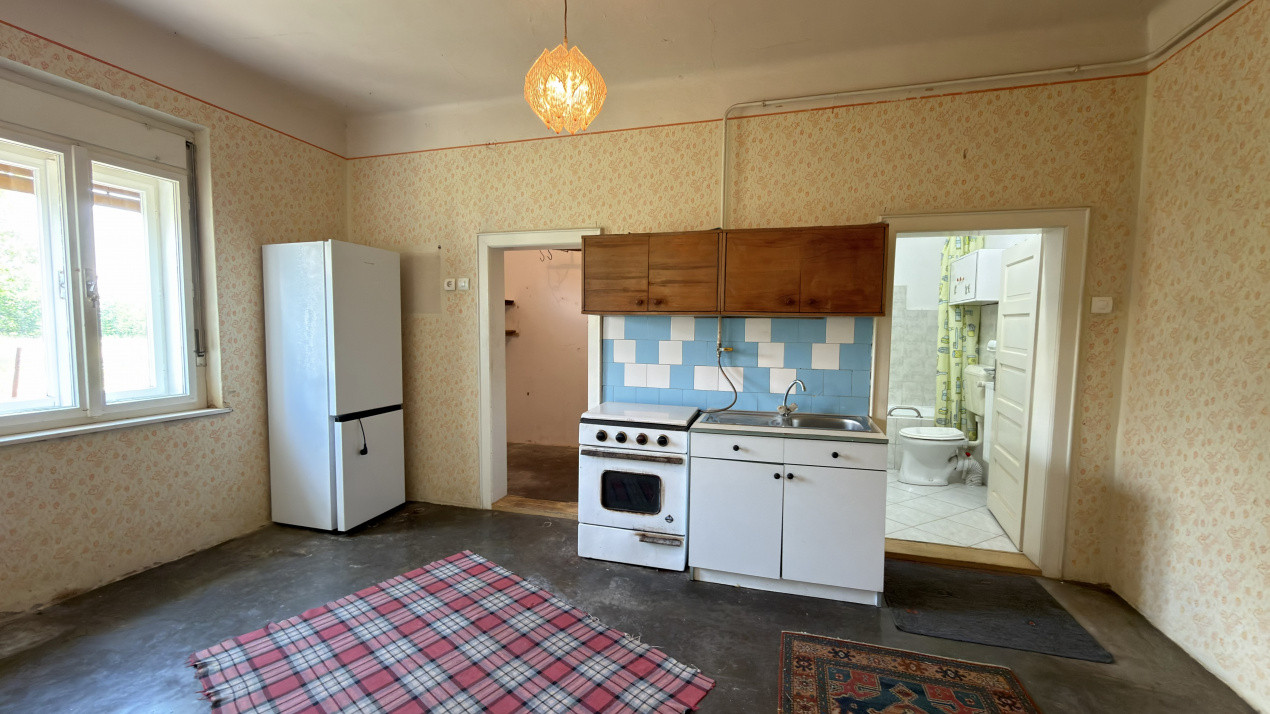 Casă 4 camere, Teren 1955 mp Str. Vezendiului Nr. 366 - Loc. Petrești, Satu Mare