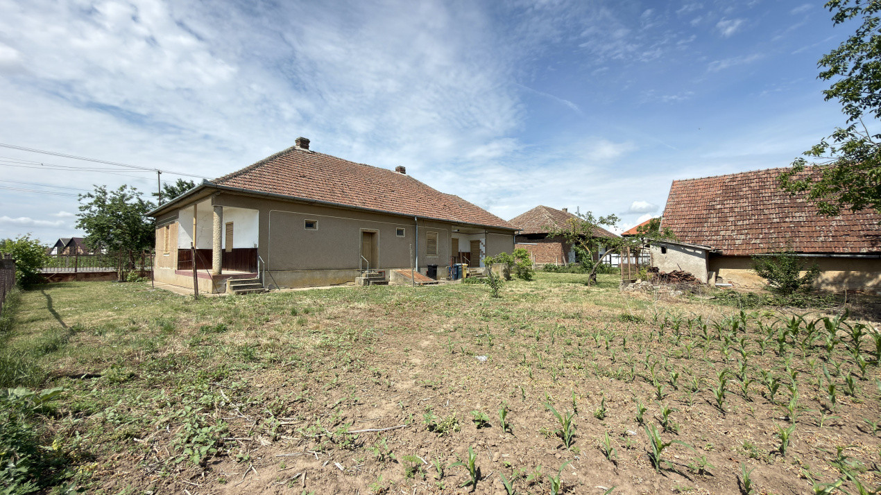 Casă 4 camere, Teren 1955 mp Str. Vezendiului Nr. 366 - Loc. Petrești, Satu Mare